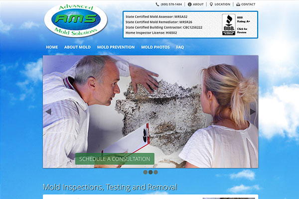 Screenshot of the Advanced Mold Solutions Website