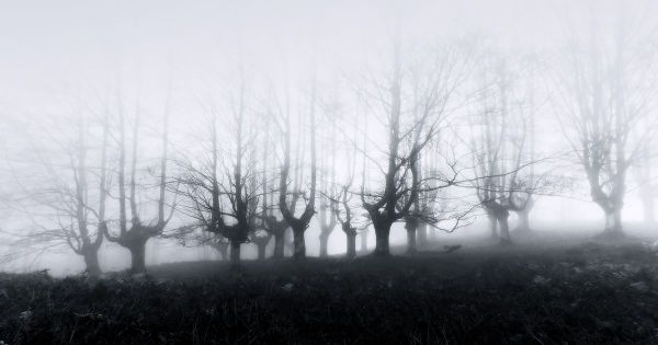 The Dark Side of SEO